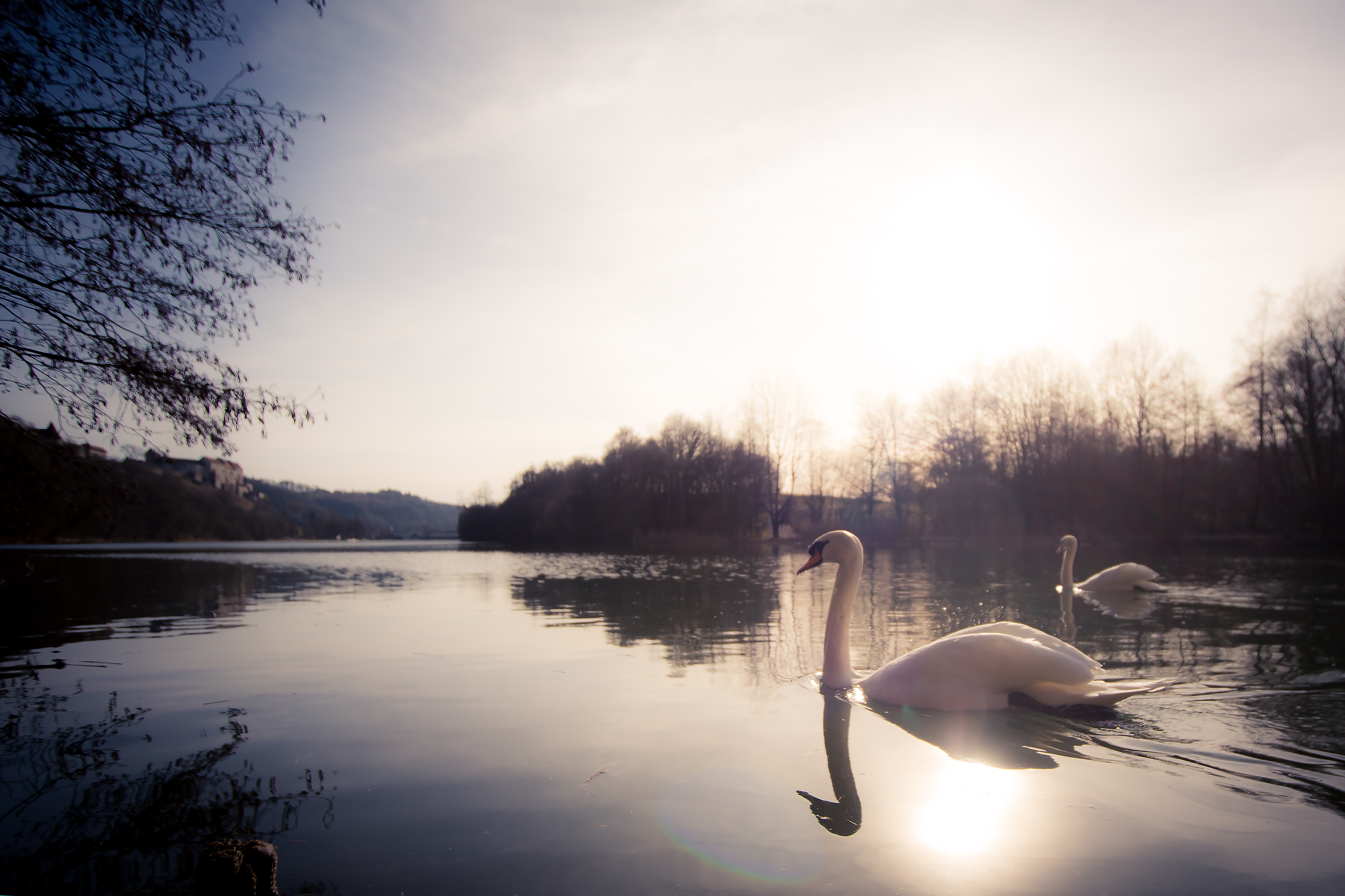 Wöhrsee Burghausen – Hochzeitsfotos